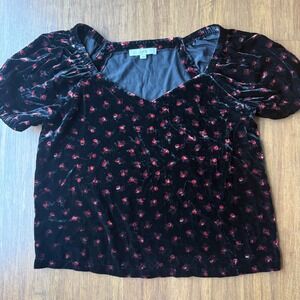 LOFT Velvet Floral Puff Sleeve Blouse Womens Large Top Black Red Dark Moody